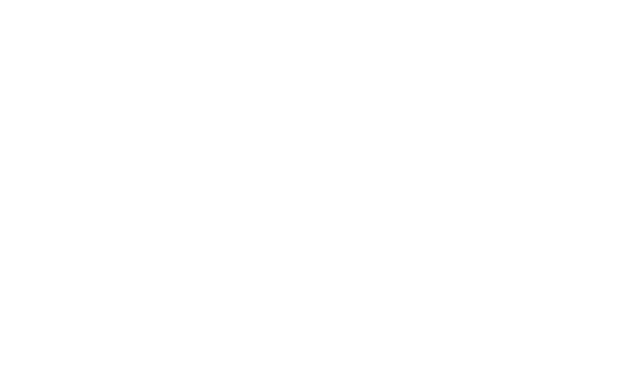 Business Franchise Méditerranée